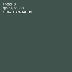 #40534D - Gray Asparagus Color Image